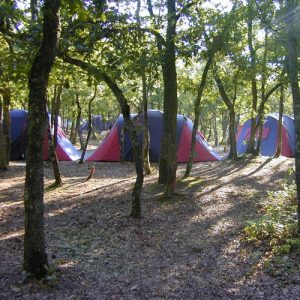Tentes camping dans la foret de buthiers 77