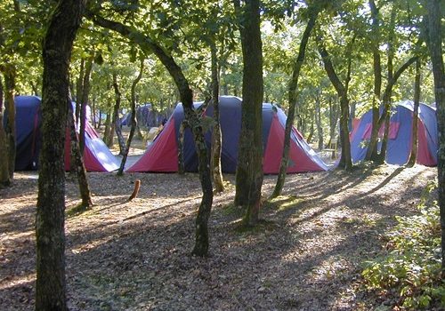 Tentes camping dans la foret de buthiers 77