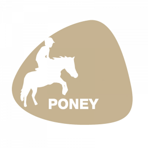 logo pour le tshirt de poney de Buthiers