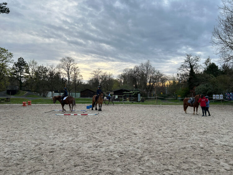 CLUB Buthiers poney 6