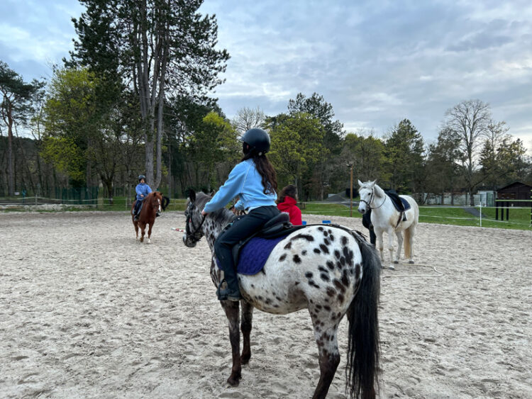 CLUB Buthiers poney 9