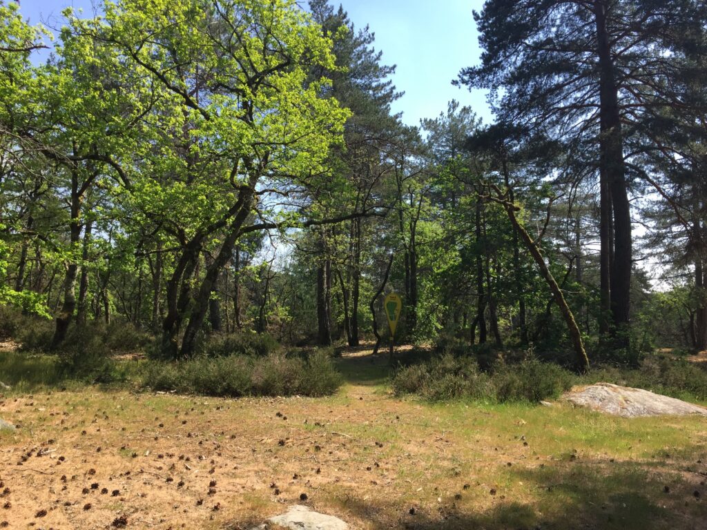 randonnée ile de loisirs de Buthiers